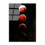 Wallity UV-201 Pintura Decorativa de Vidrio Templado Multicolor 70 x 100 cm